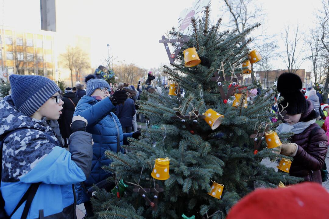 100 eglučių Atgimimo aikštėje puošimas