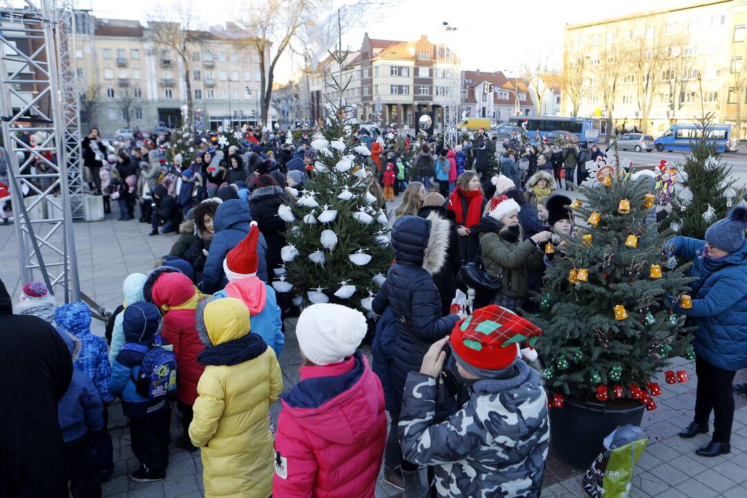 100 eglučių Atgimimo aikštėje puošimas