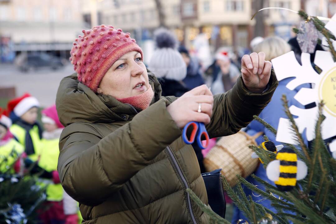 100 eglučių Atgimimo aikštėje puošimas
