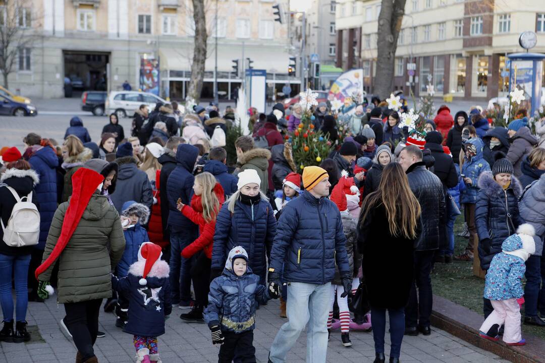 100 eglučių Atgimimo aikštėje puošimas
