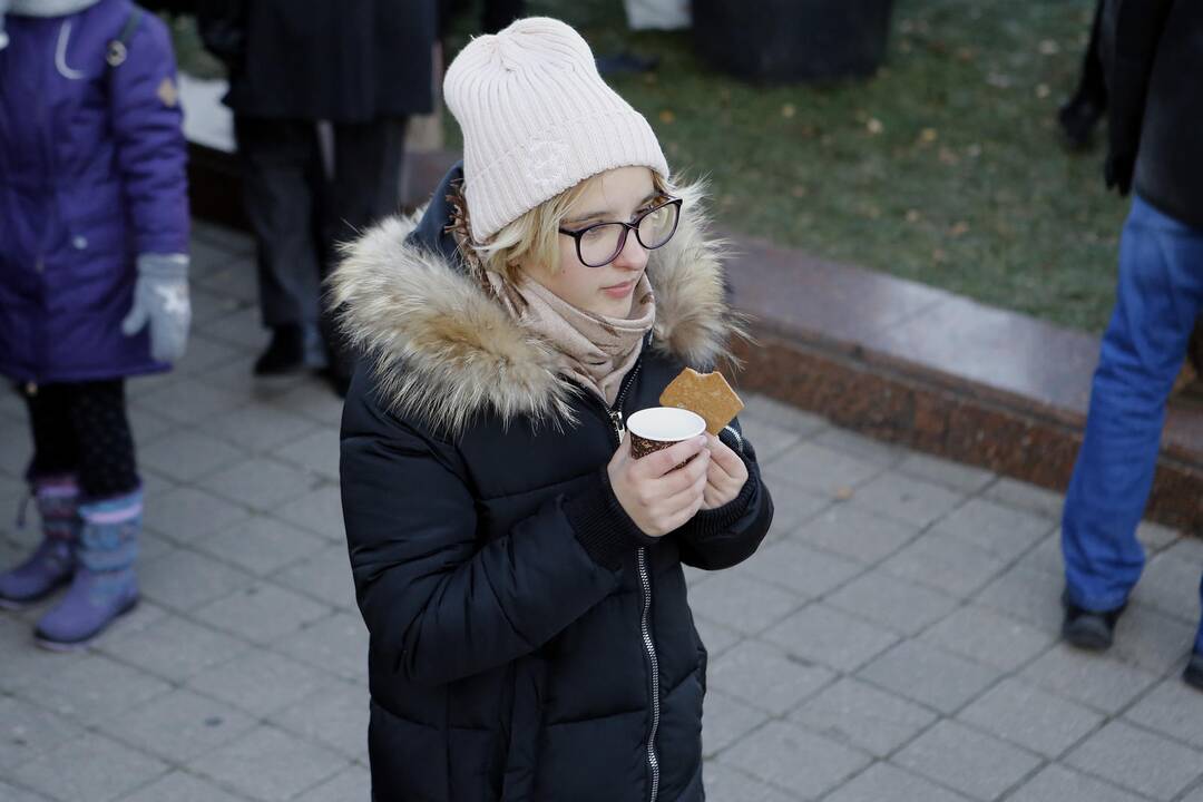 100 eglučių Atgimimo aikštėje puošimas