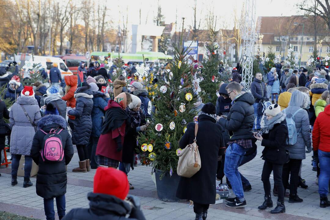 100 eglučių Atgimimo aikštėje puošimas