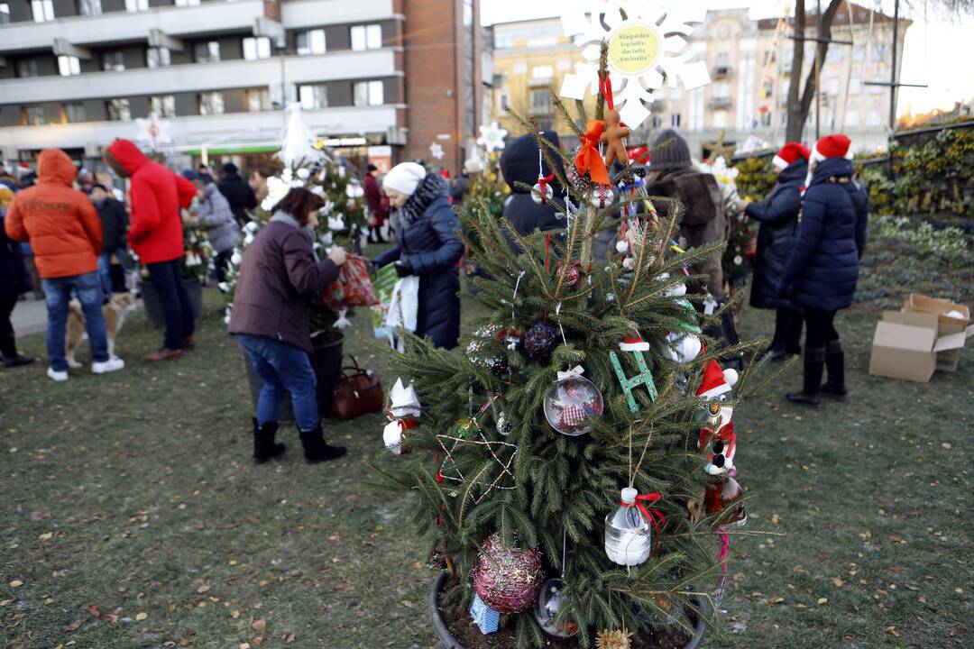 100 eglučių Atgimimo aikštėje puošimas