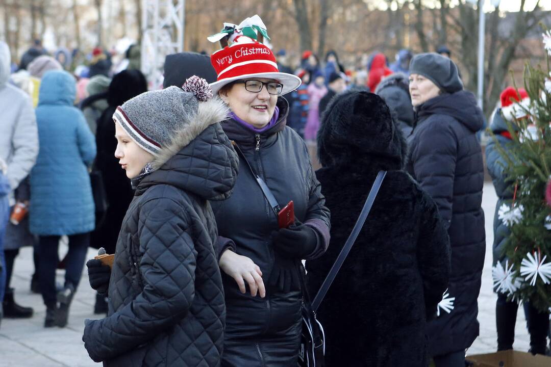 100 eglučių Atgimimo aikštėje puošimas