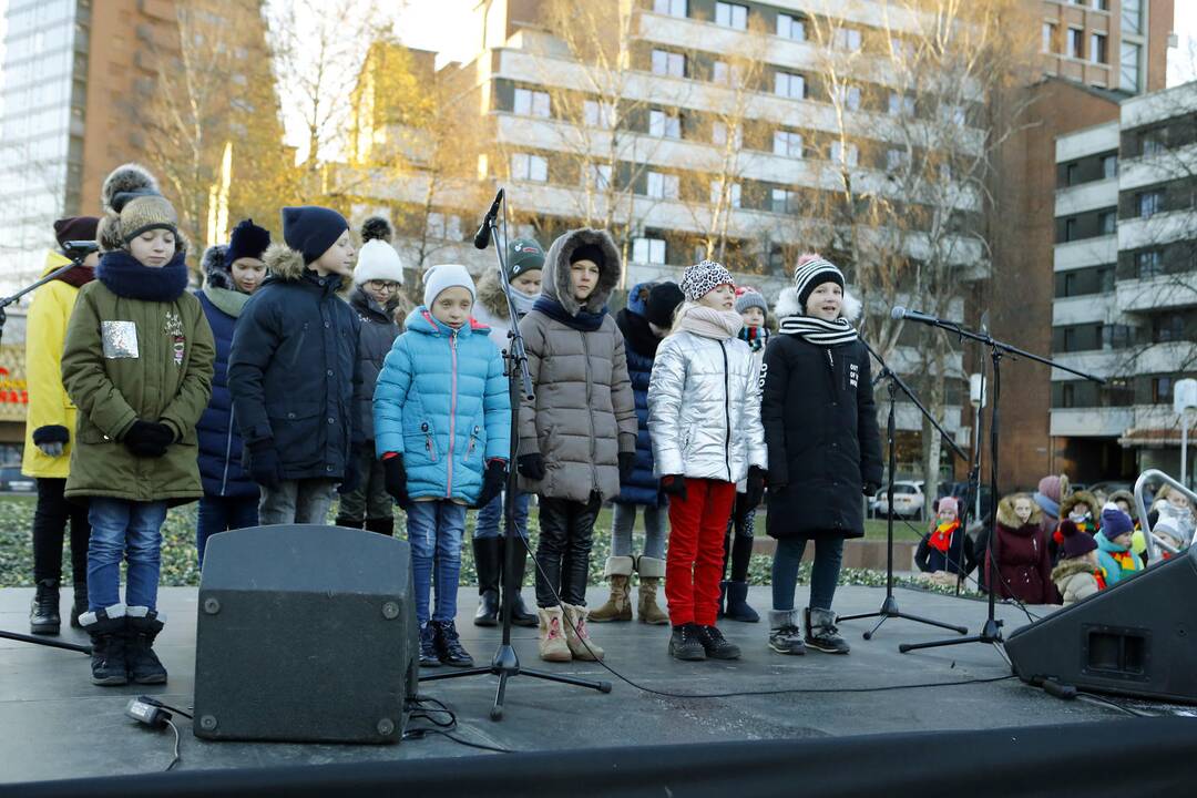 100 eglučių Atgimimo aikštėje puošimas