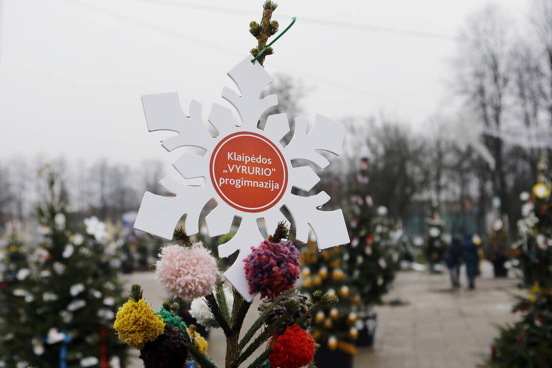 100 eglučių papuošė atgimimo aikštę