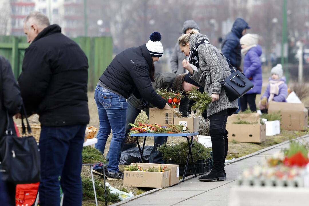 Verbų sekmadienis Juozapo darbininko bažnyčioje