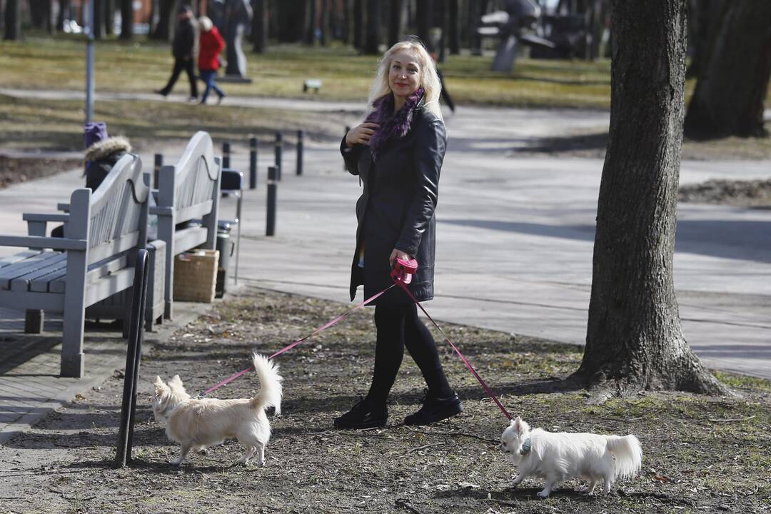 Skulptūrų parke – "Vynerio arbatėlė"