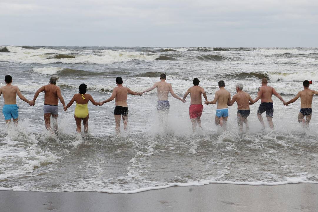 Ruonių maudynės Baltijos jūroje