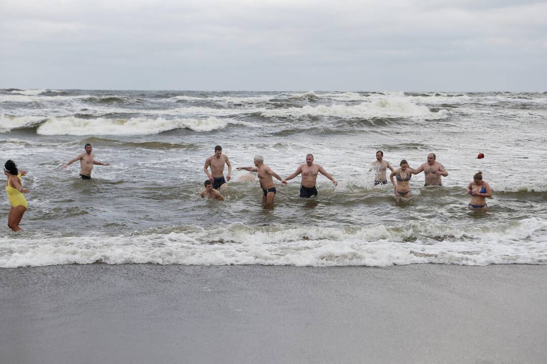 Ruonių maudynės Baltijos jūroje