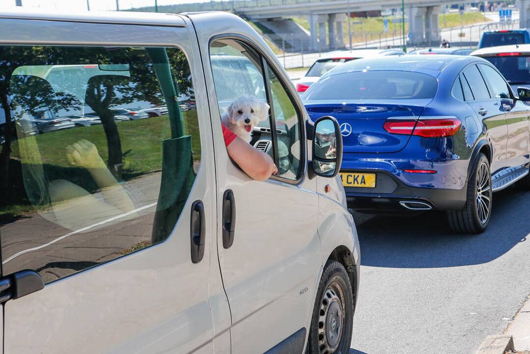 Automobilių eilės į Neringą