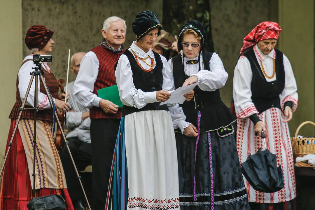 Baltų vienybės diena