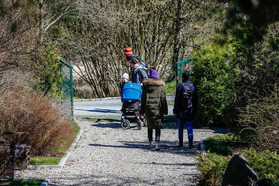 Botanikos sode - Pasaulinė Motinos Žemės diena