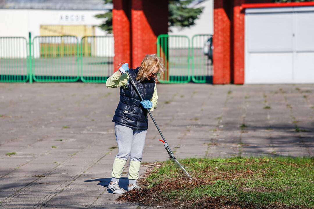 Darom 2018 Klaipėdoje