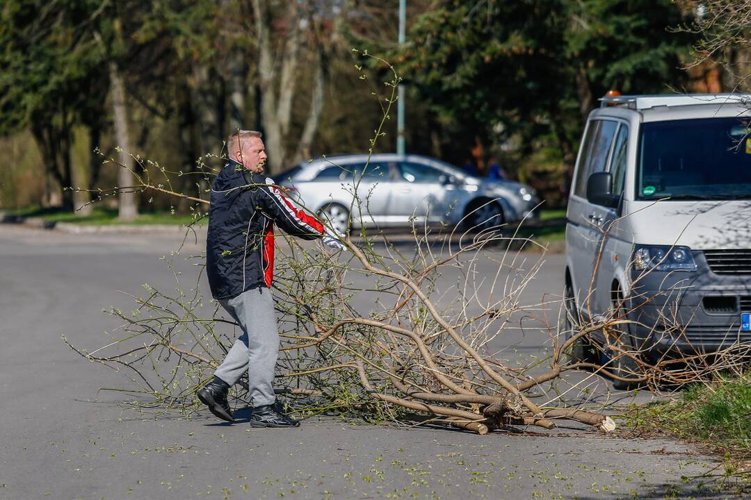 Darom 2018 Klaipėdoje