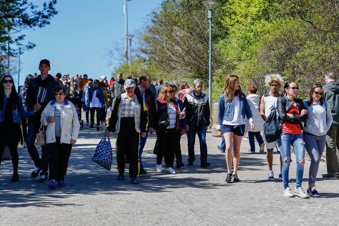 Palangoje – tradicinis gintarinis savaitgalis