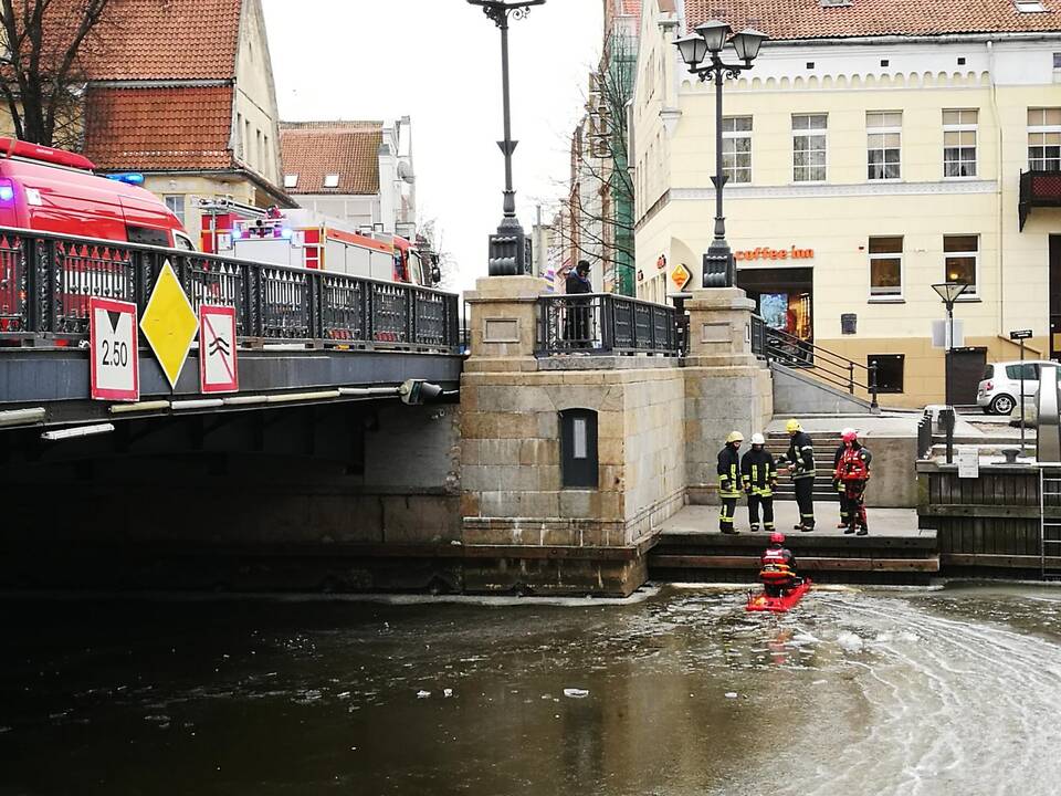 Gulbės gelbėjimas