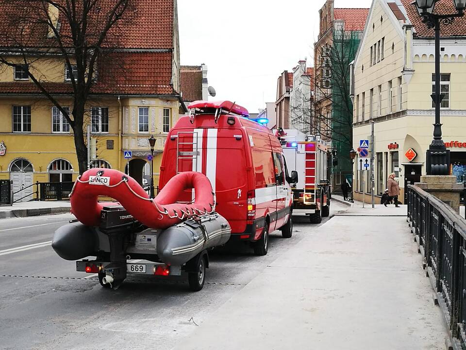Gulbės gelbėjimas