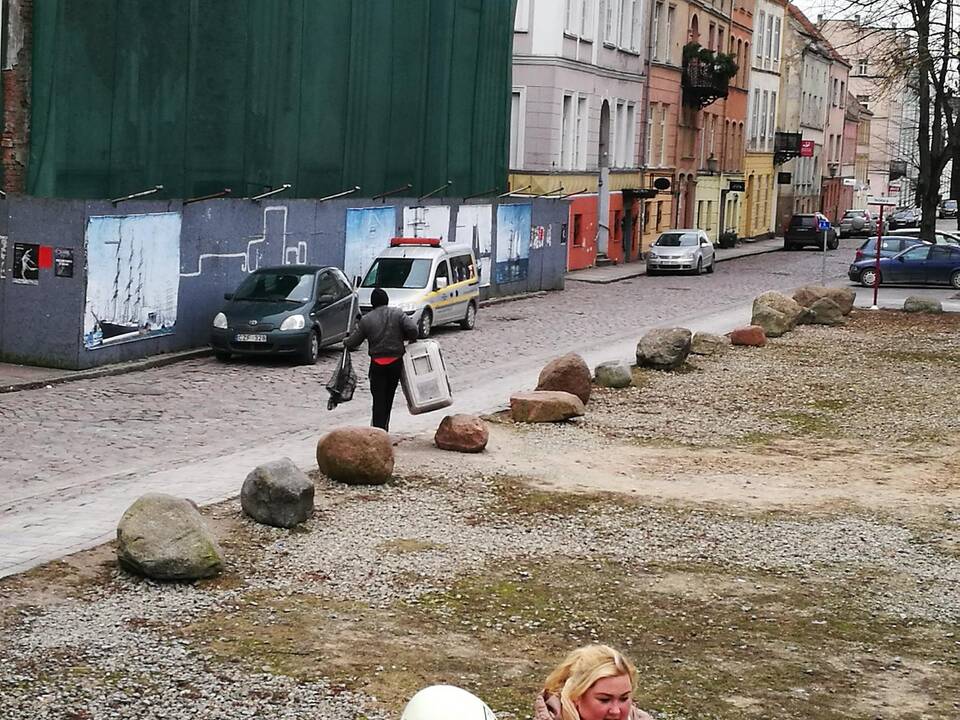 Gulbės gelbėjimas