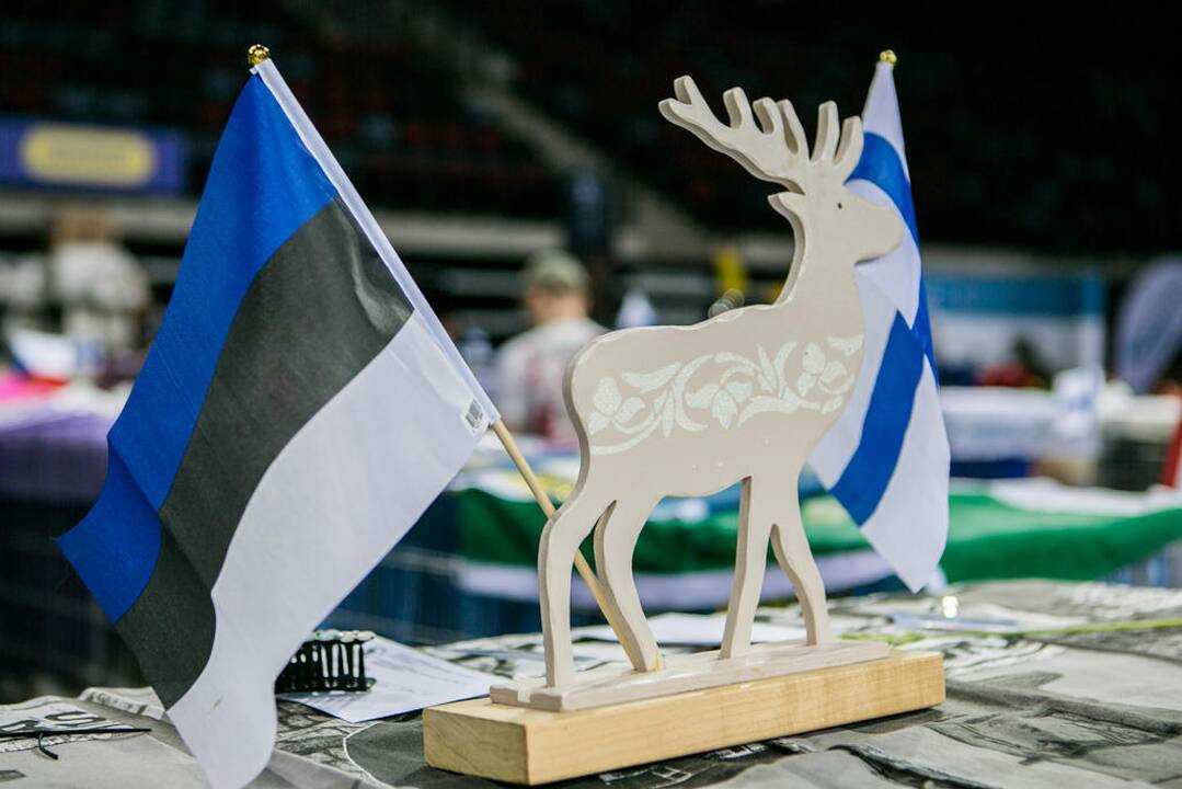 Kačių paroda "Baltic Winner CAT show"