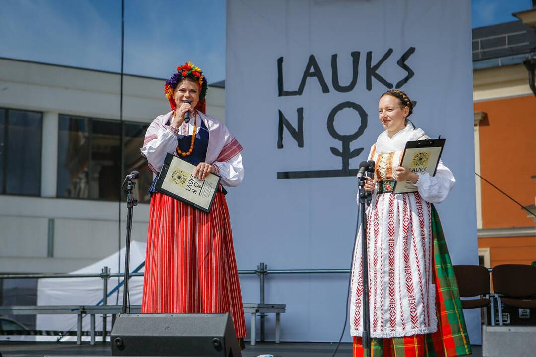 Festivalis "Lauksnos" amatų miestelis
