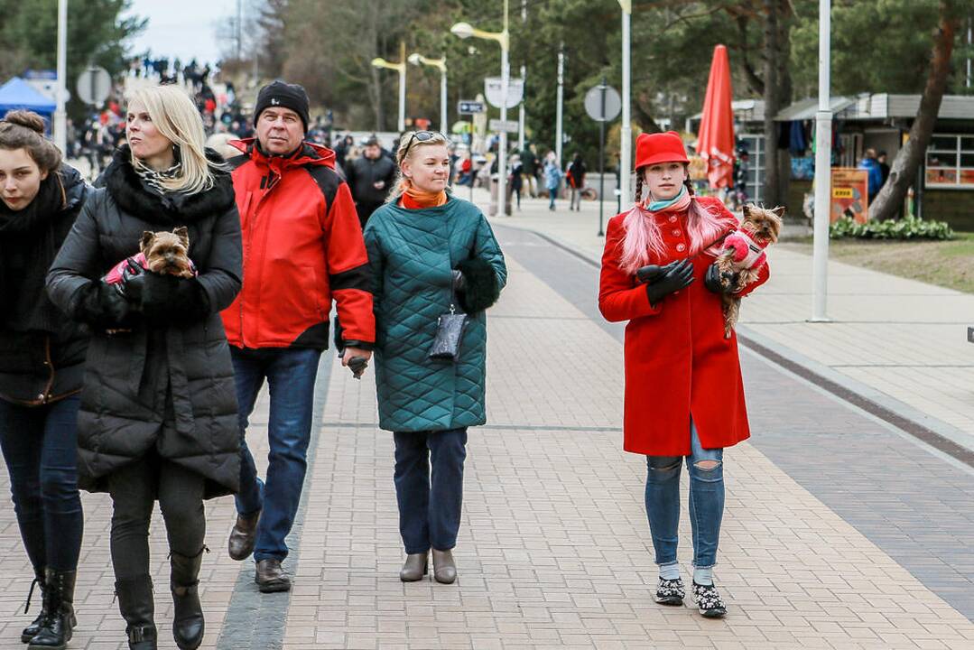 Margučių ridenimas