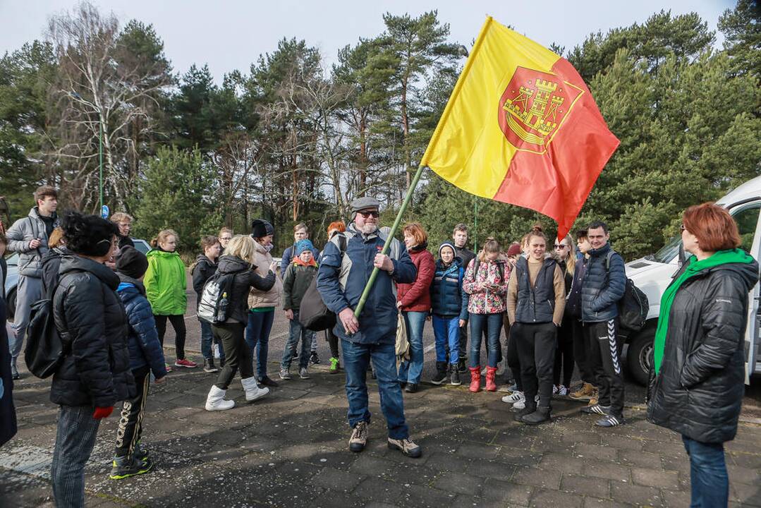 Pušelių sodinimas Smiltynėje
