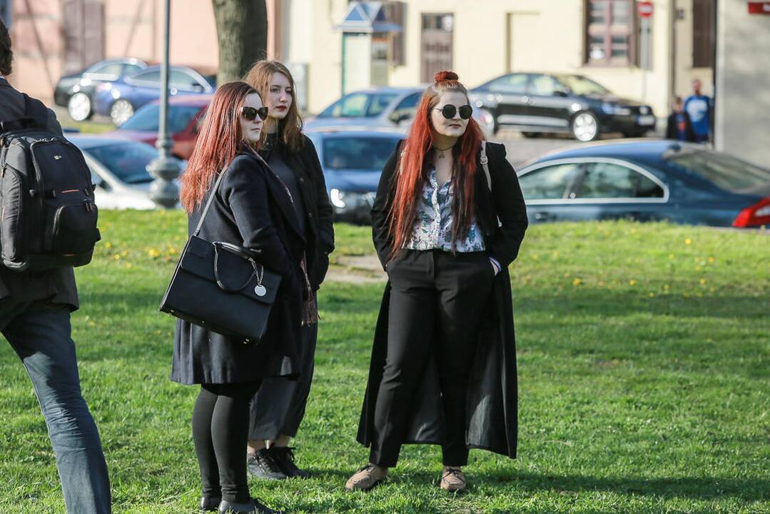 Menų zona
