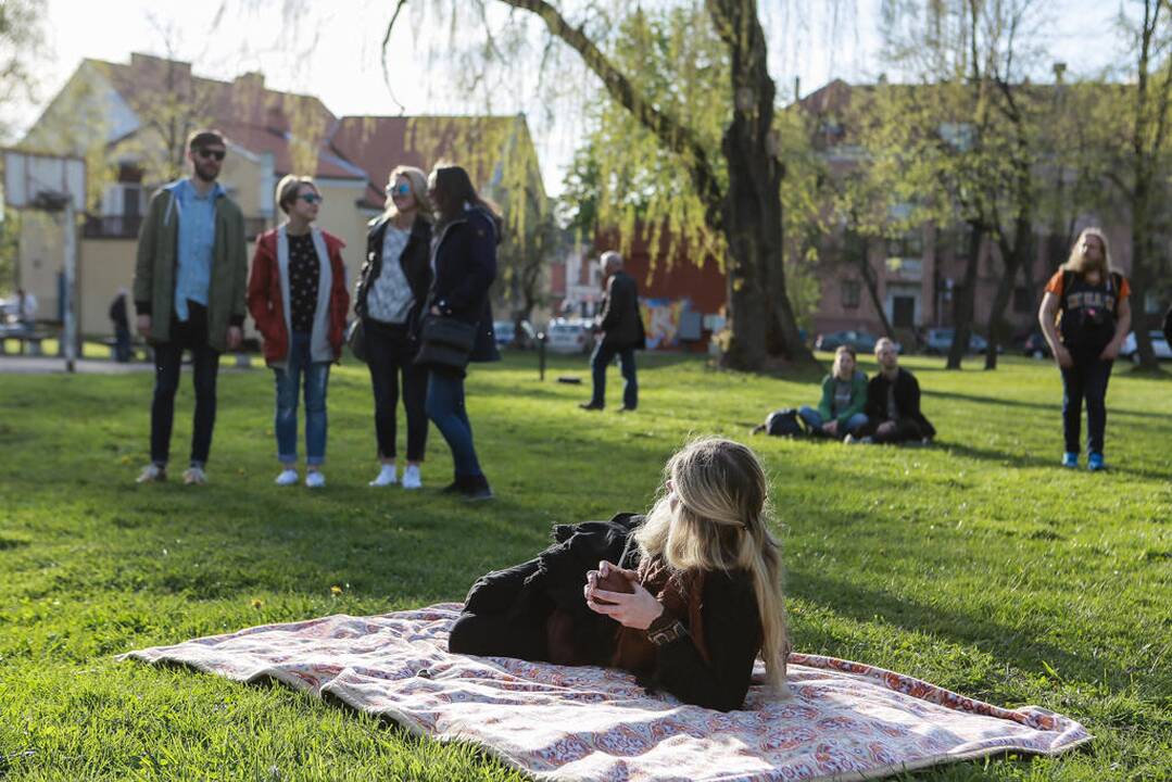 Menų zona