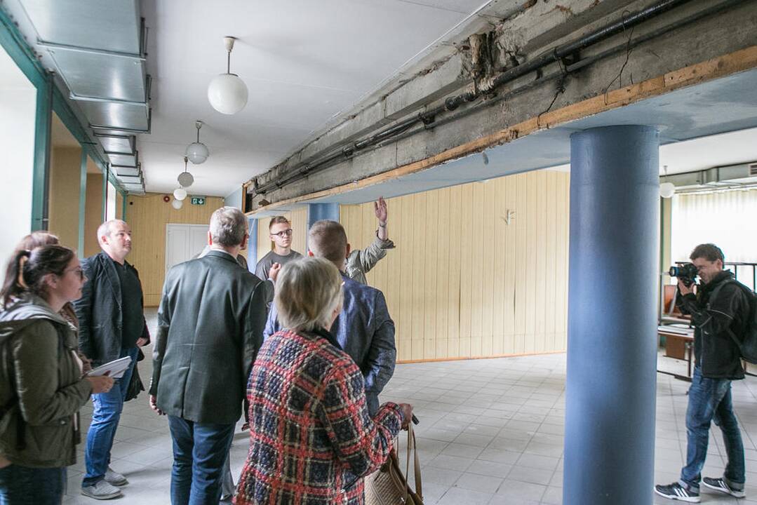 Meras lankėse Vytauto Didžiojo gimnazijoje
