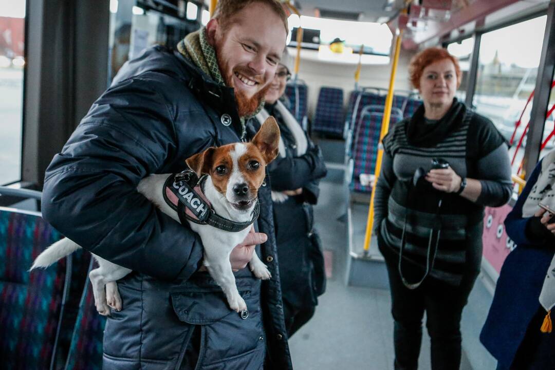 „Muzė veža“ kūrybinės dirbtuvės autobusuose