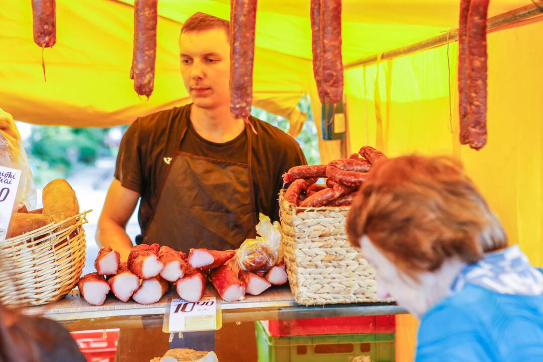 Obuolių šventė Gargžduose