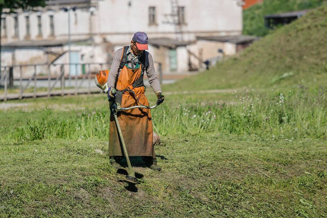 V. Grubliauskas terminale vykstančioms statyboms pažėrė kritikos