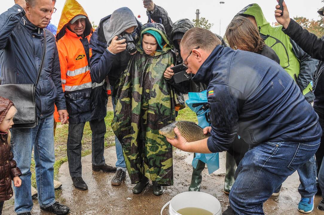 Klaipėdiečiai švarino Danę