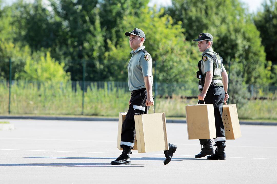 Cigarečių kontrabandininkų išradingumui nėra ribų