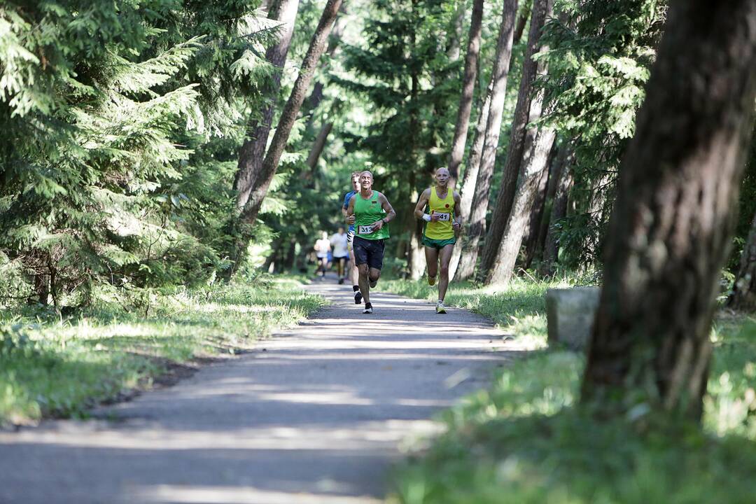 Melnragės maratonas 2013