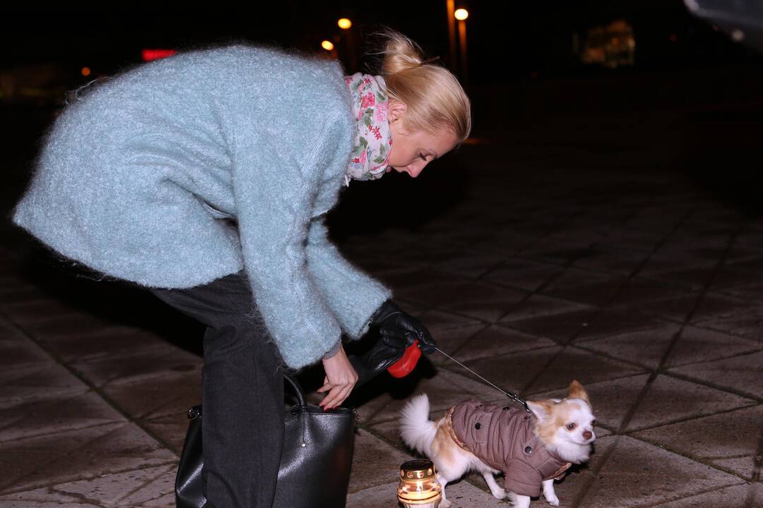 Klaipėdiečiai pagerbė teroro aukas Paryžiuje