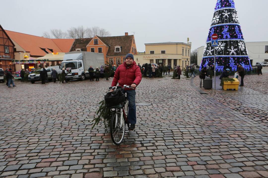 Išdalintos eglių šakos mestiečiams