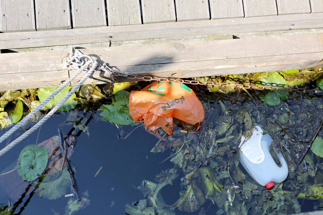 Pramogų Danės krantinėje patikra