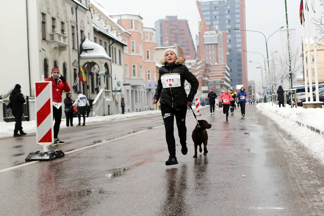 Tradicinis bėgimas "Laisvės kelias"