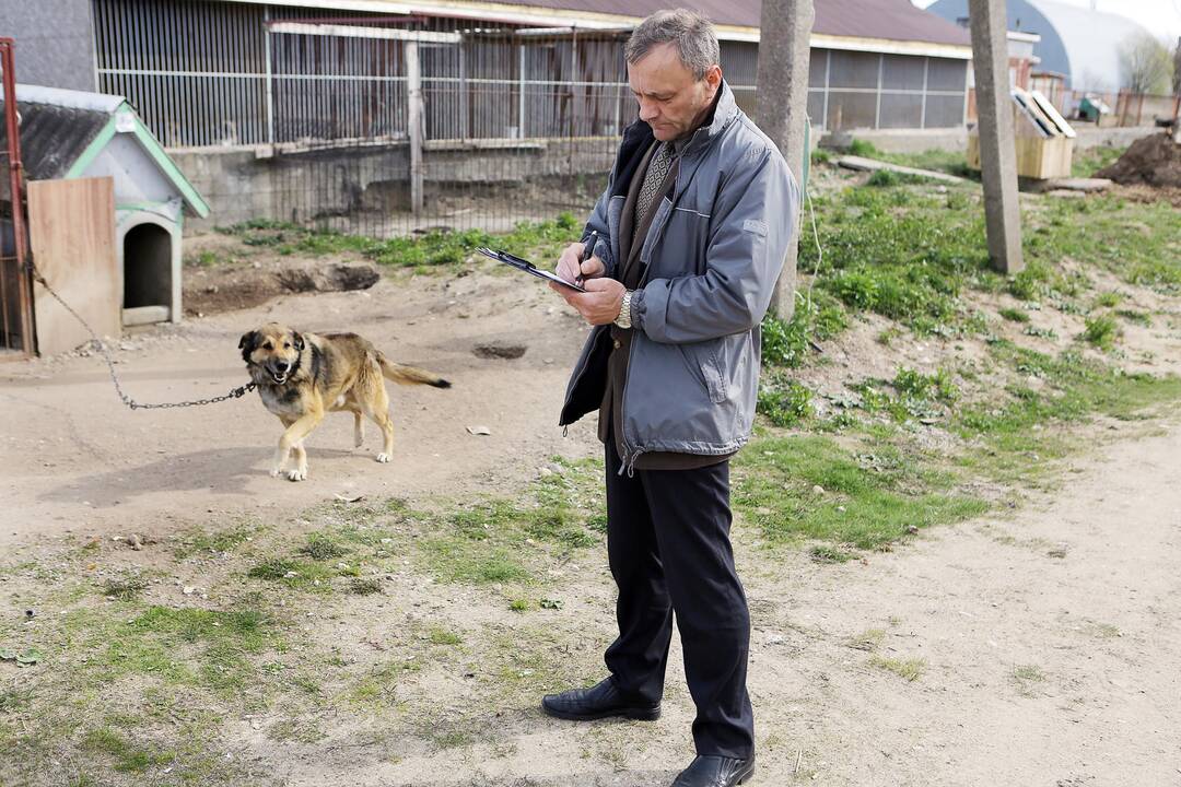 Veterinarų patikrinimas "Nuaras" gyvūnų prieglaudoje