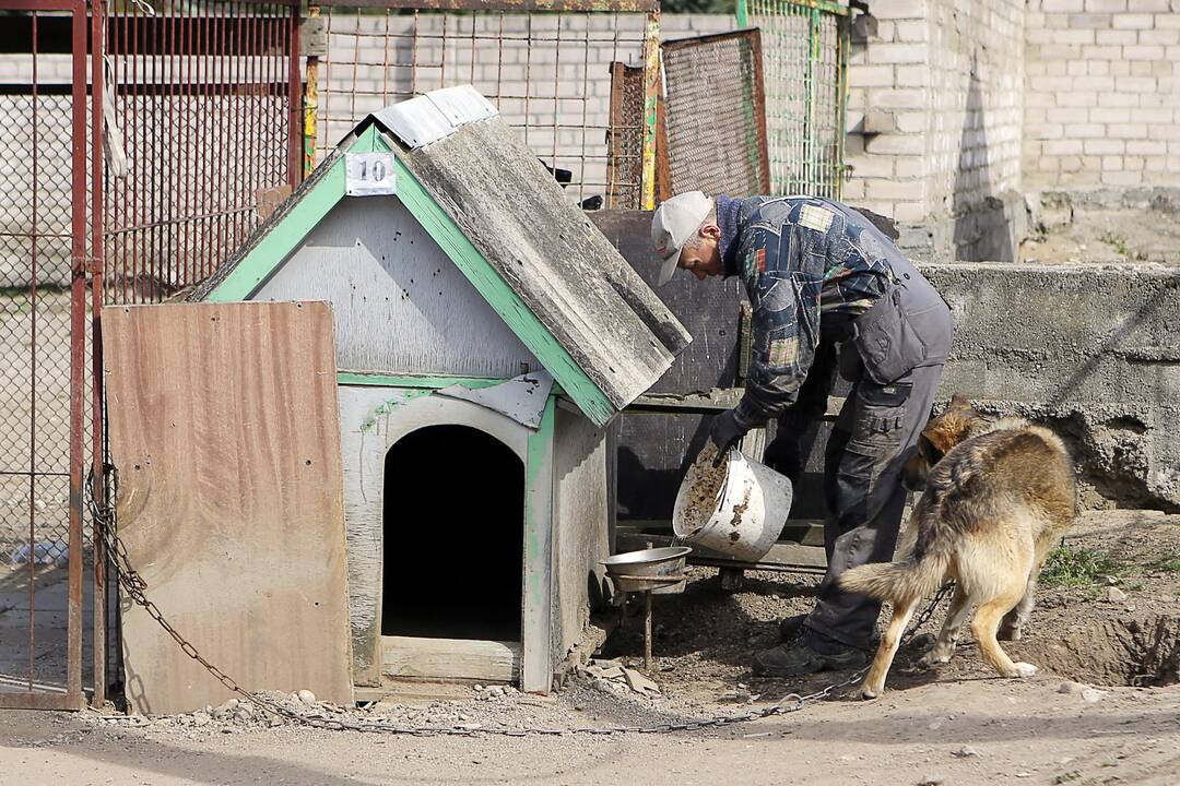 Veterinarų patikrinimas "Nuaras" gyvūnų prieglaudoje