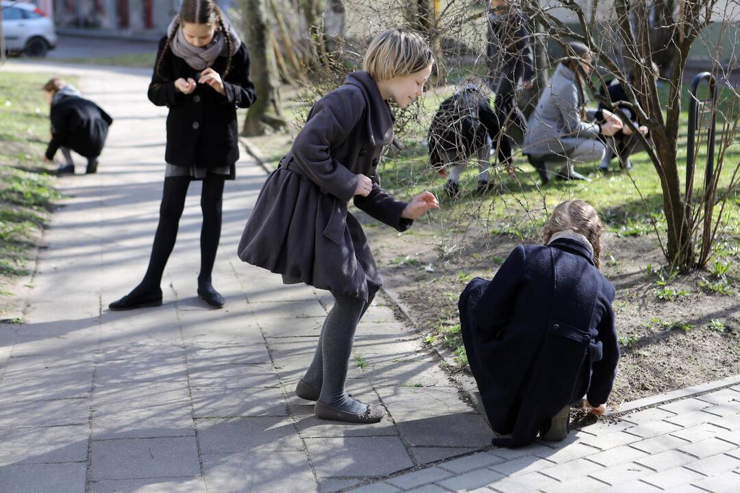 Klaipėdoje atidengta lenta Izraelio vėliavos autoriui