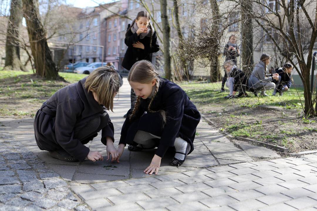 Klaipėdoje atidengta lenta Izraelio vėliavos autoriui