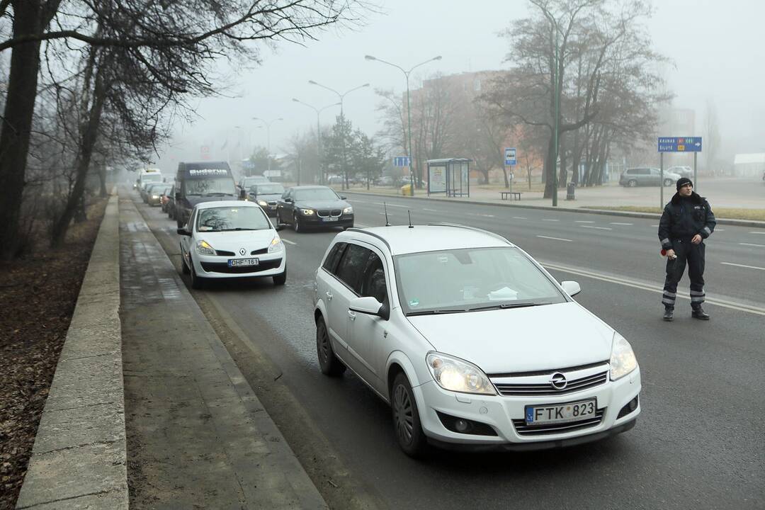 Poilsio parke kertami medžiai