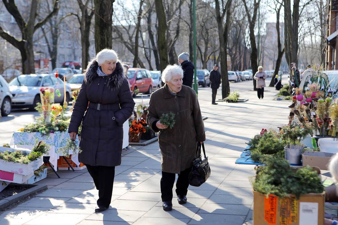 Verbų sekmadienis