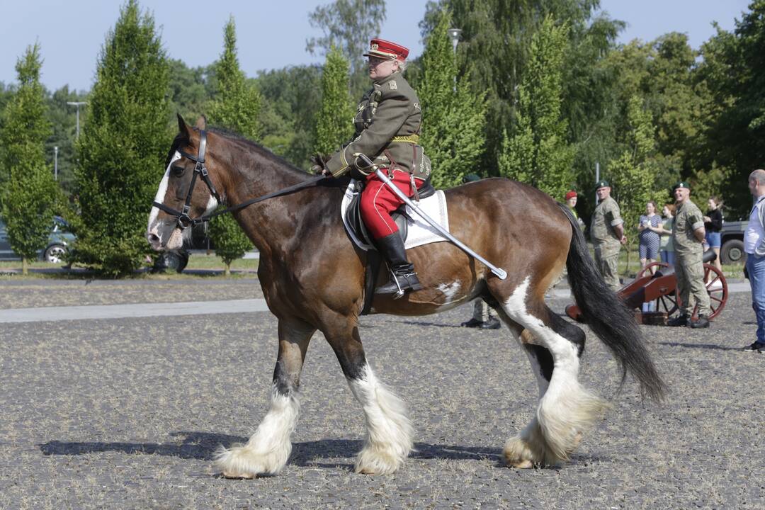 Dragūnų bataliono 30-metis