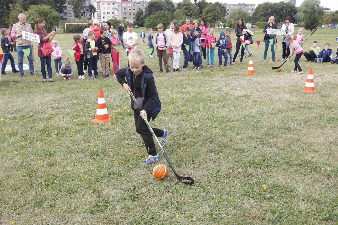 Baltijos vietos bendruomenės šventė