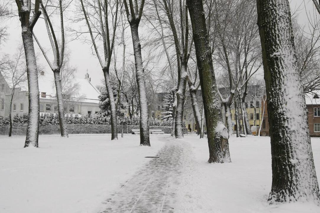 Klaipėdoje vėl prisnigo