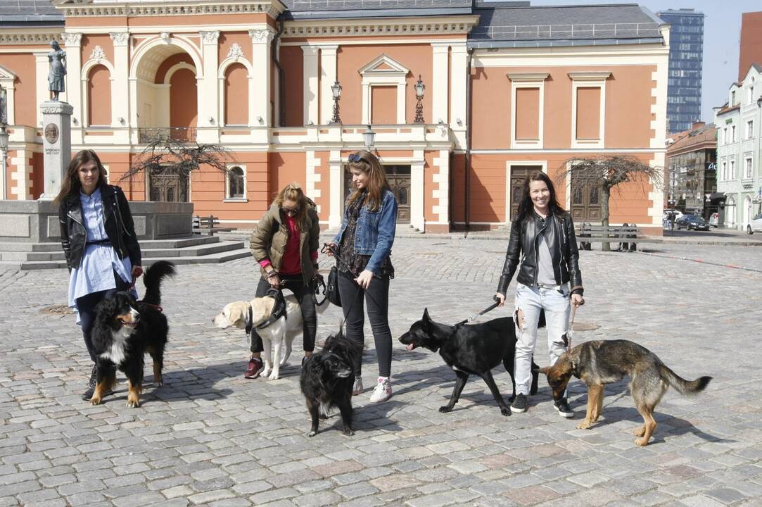 Pristatytas draugiškų gyvūnams vietų žemėlapis